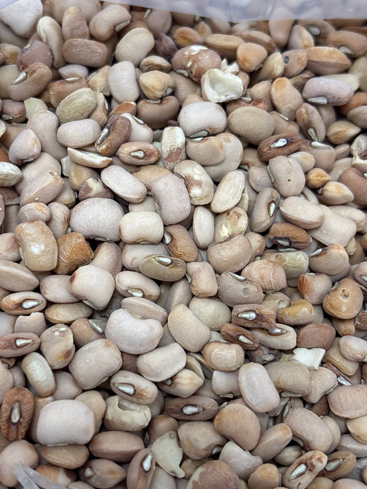 Honey Oloyin beans 20kg