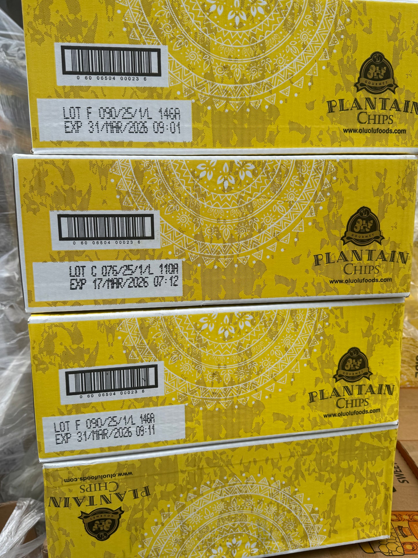 Olu Olu Plantain Chips