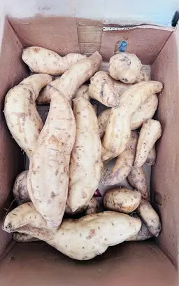 Sweet Potatoes